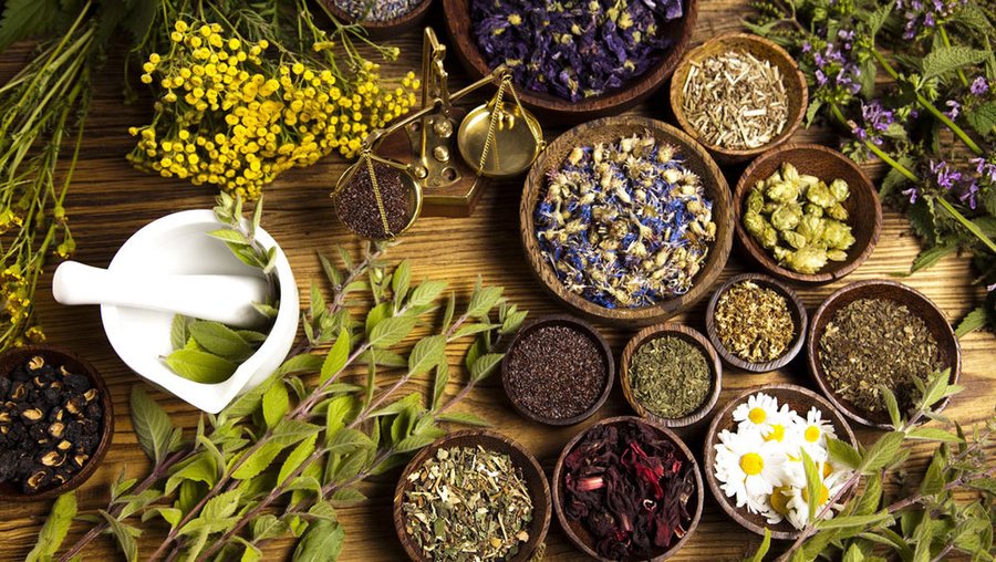 Which region produces the most medicinal plants? Production doubles in a decade.