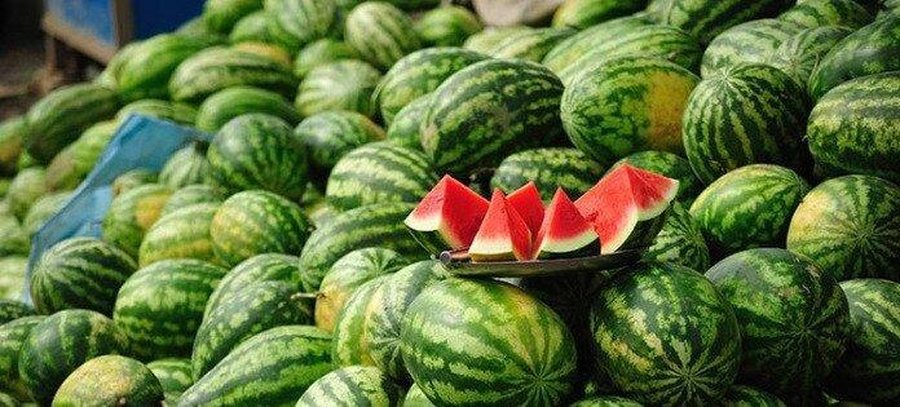 Bostani shqiptar, produkti më i kërkuar në botë! -