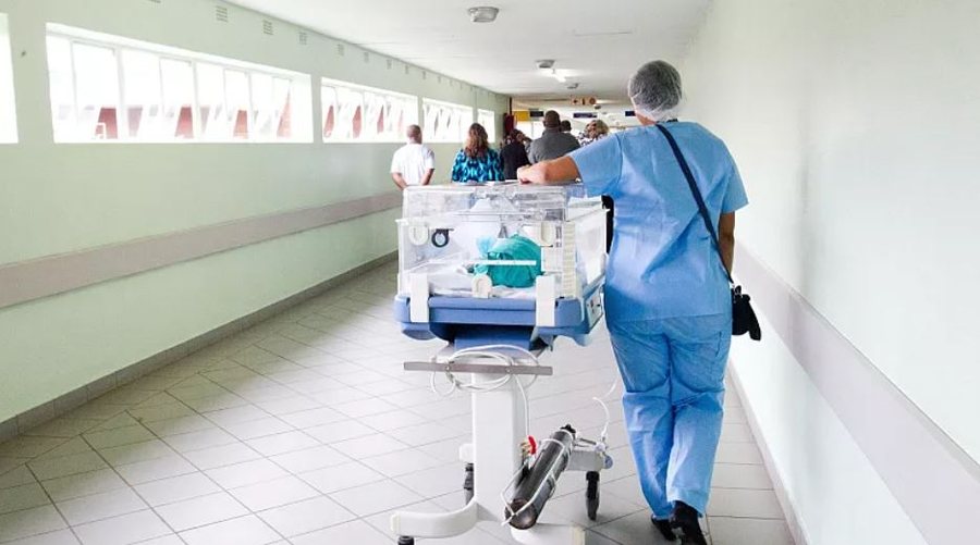 Shalsi: Platforma e donacioneve në QSUT garanton transparencën,