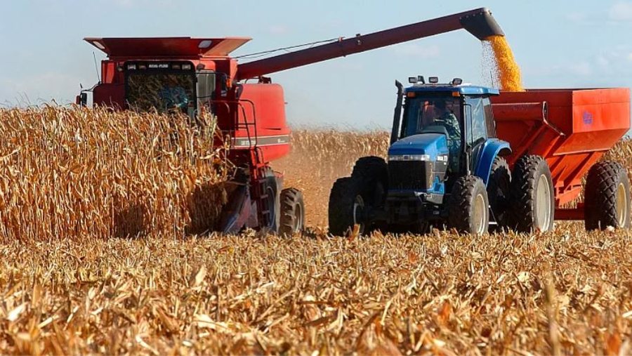 Russia, record wheat exports in 2024 - The main importers are Egypt, Turkey and