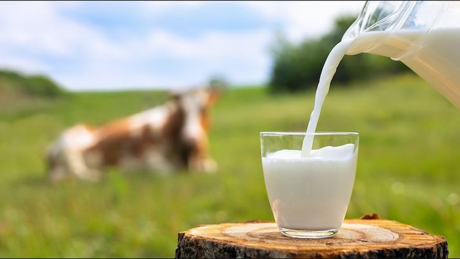 Milk, more expensive in Albania than in the EU - In January, the average price