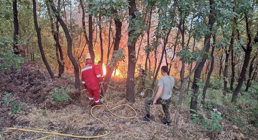 Fire situation in the country/AKMC: Four active fires, ten extinguished!