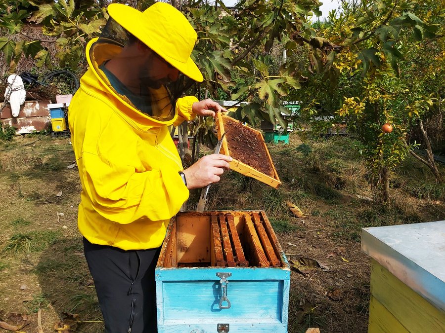 Subsidies in agriculture/ Denaj: United beekeepers benefit from 100% financial