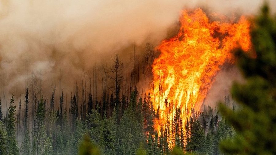 High temperatures, increasing fire outbreaks - AKMC: Situation under monitoring,