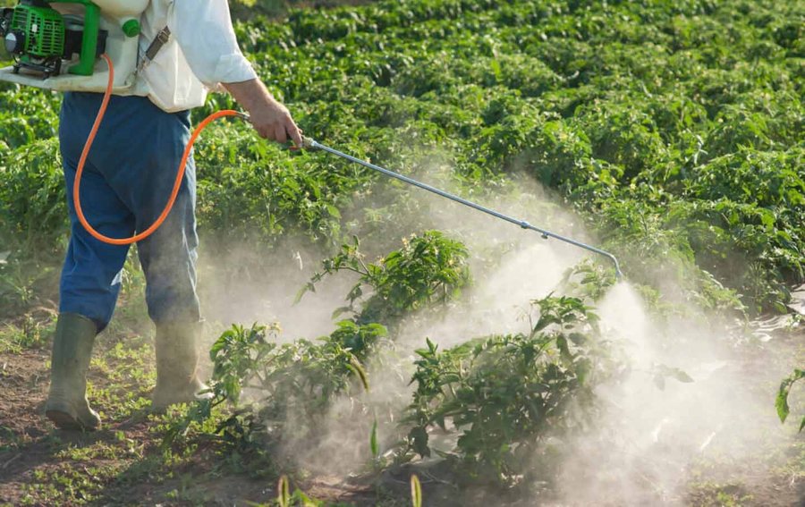 Përhapet tregtia e pesticideve të paligjshme në Greqi -