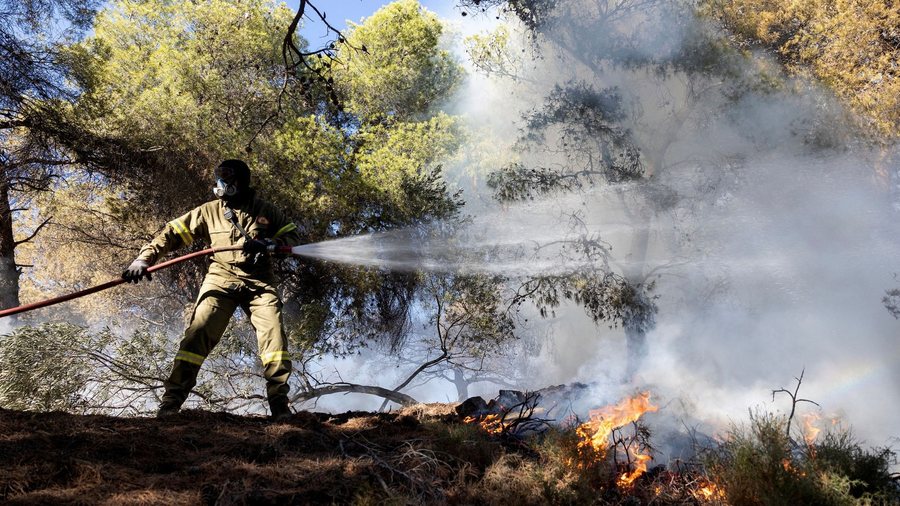 The fires caused 16.75 million euros in damage to the forests - So far, the