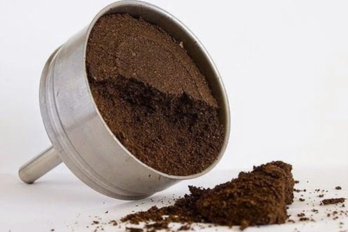 fondi-caffe.webp