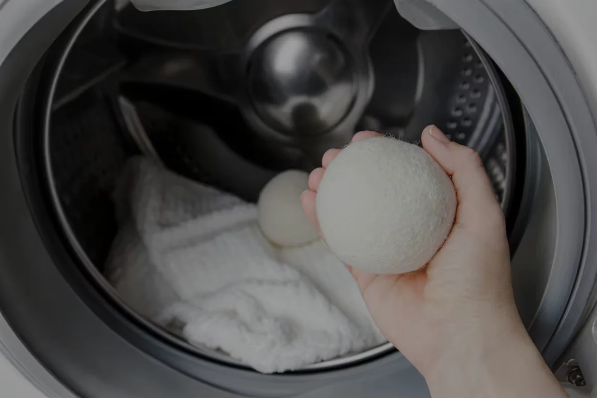 palline-di-lana-asciugatrice.webp