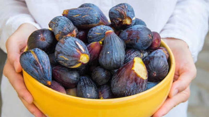 Konsumi i fiqve, vlerat ushqyese nga fruti i shijsh&euml;m i sezonit
