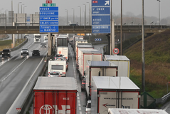 Brexit rules on food exports to be lifted
