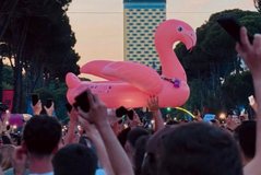 The questions raised by foreign media about the "flamingo" protests in