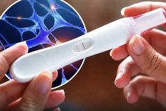 Pregnancy tests can come back positive in men too, but it's not good news