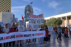 Day 11 of the protest! 🦩