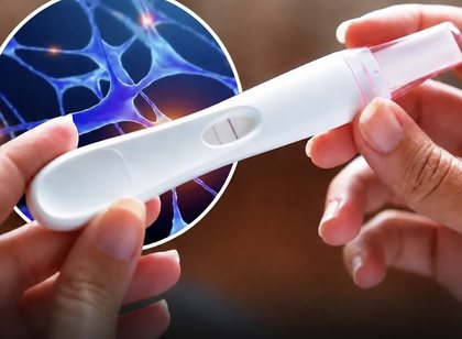 Testi i shtatz&euml;nis&euml; mund t&euml; dal&euml; pozitiv&euml; edhe tek