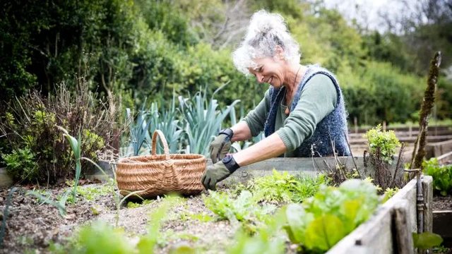 Here's what the French do differently to live healthy