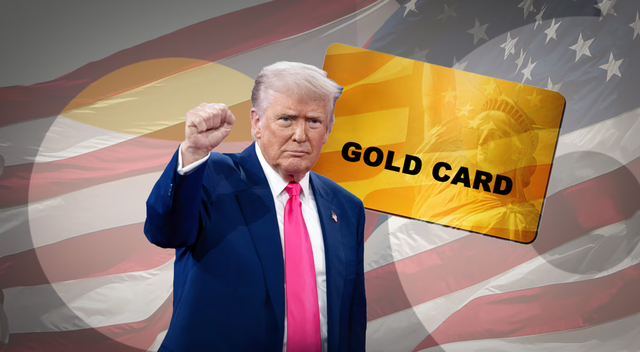 What is the $5 million 'gold card' that President Trump is proposing?