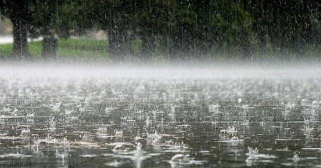 Take your tent with you, showers are expected today.