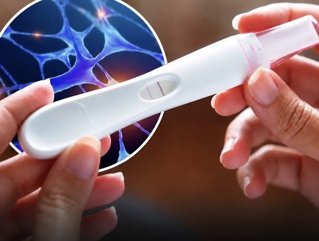 Testi i shtatzënisë mund të dalë pozitivë edhe tek