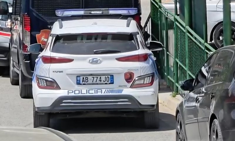 Ngjarje e r&euml;nd&euml; n&euml; Kam&euml;z: shoku vret shokun pas nj&euml;