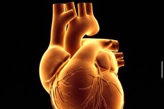 How gratitude literally changes the heart and molecular structure of the brain