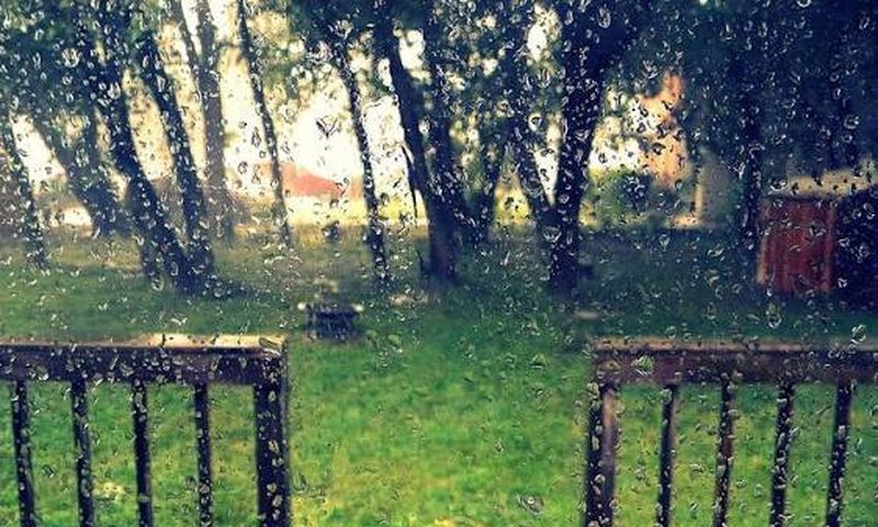 Take your umbrella with you. It will rain in the afternoon.