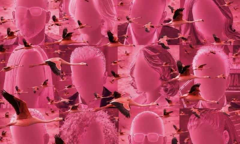 Nj&euml; p&euml;rgjigje p&euml;r &ldquo;fitoren e flamingove&rdquo; nga