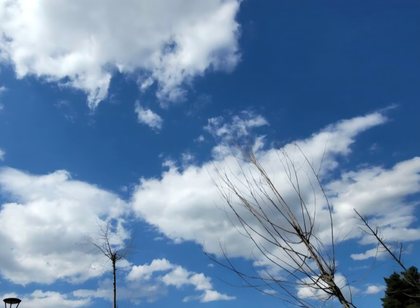 Temperaturat arrijn&euml; n&euml; 42 grad&euml; sot