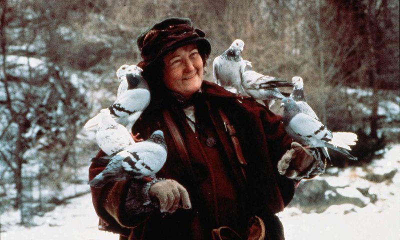 Shuhet &ldquo;Gruaja e P&euml;llumbave&rdquo; n&euml; Home Alone 2