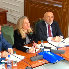 Drafti i kodit të ri penal, Bogdani: Nuk u përfshimë nga
