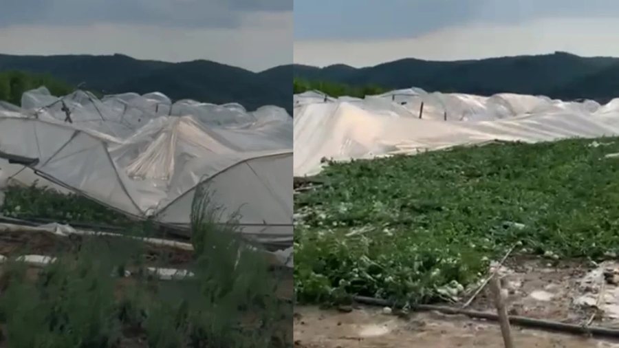 20 minuta stuhi shiut në Cërrik, shkatërrohen serat dhe të