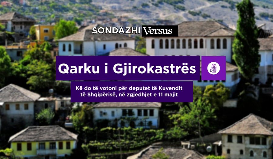 Qarku i Gjirokastrës (PS) / Kë do të votoni për deputet