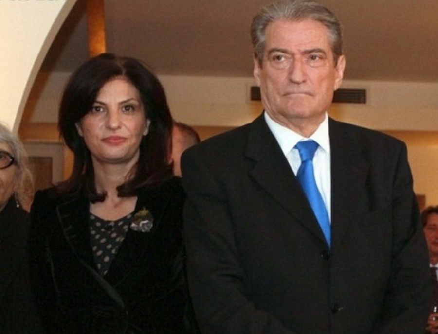 Liderët e BE-së në Tiranë, Partia Demokratike nis