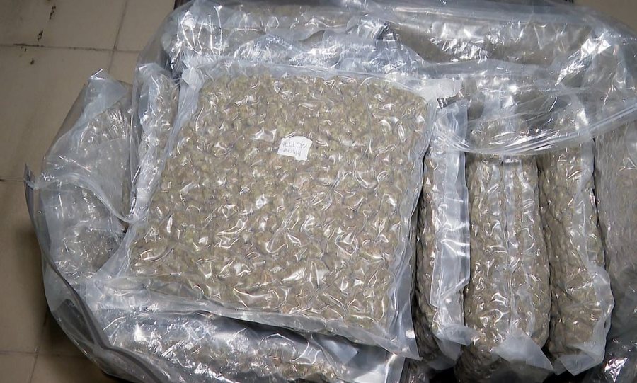 Droga elitare “Yellow Zushi” hyn në Shqipëri, si u kap