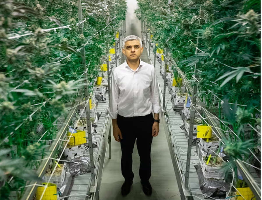 Kryebashkiaku i Londrës pro legalizimit të kanabisit: Mbështes