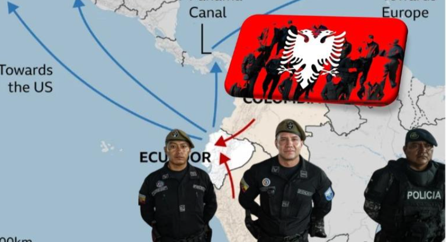 Herë si garantorë, herë si konsulentë! Si depërtuan