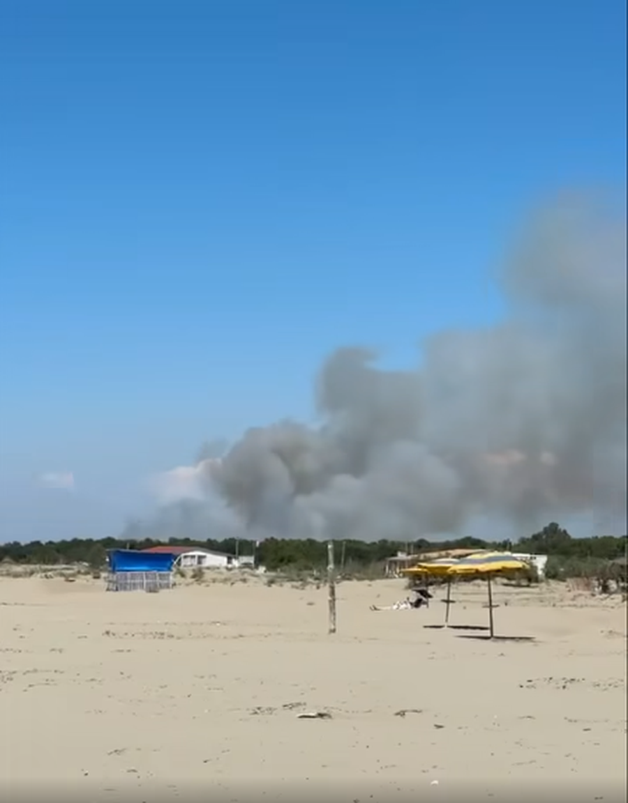 VIDEO/ Zjarri i madh përfshin pyllin me pisha në Darëzezë,