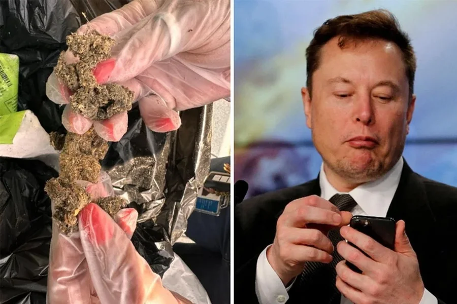 Drogë, alkool dhe bubureca/ Si ekipi i Elon Musk shkaktoi dëm miliona