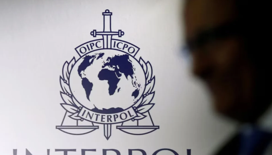 Operacion kundër abuzimit seksual me fëmijë, Interpol arreston 20