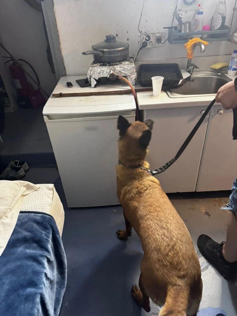 EMRAT/ Shpërndanin drogë në Mykonos, arrestohen 3 shqiptar