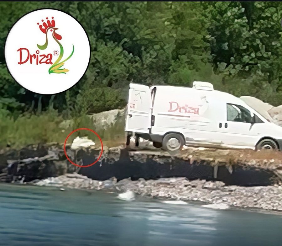 Skandal! Kompania "Driza" hedh mbetjet e pularisë në liqenin