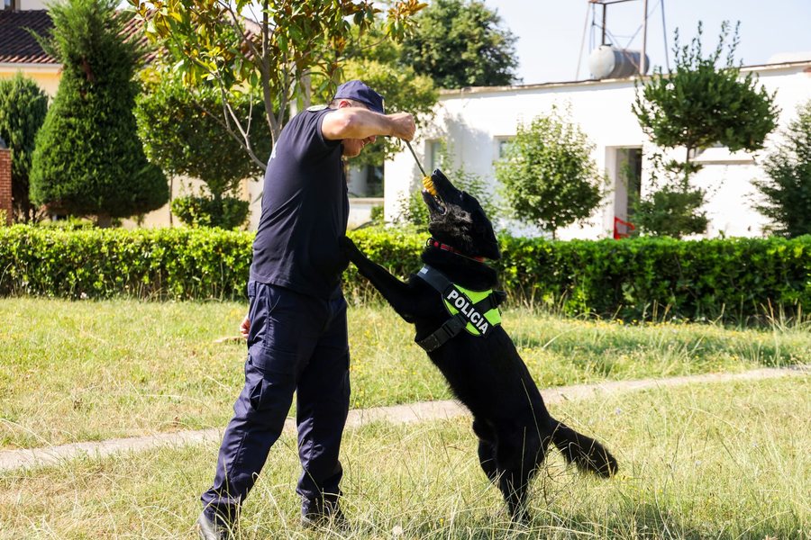 Katërputroshët besnikë të Policisë në
