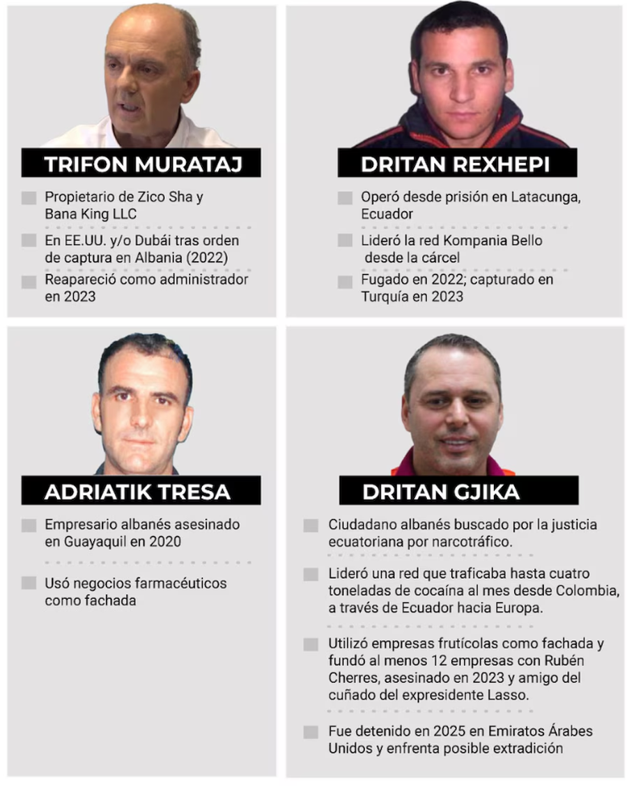 Investigimi/ Masabi, Zico Sha, Jordil – Kompanitë shqiptare që