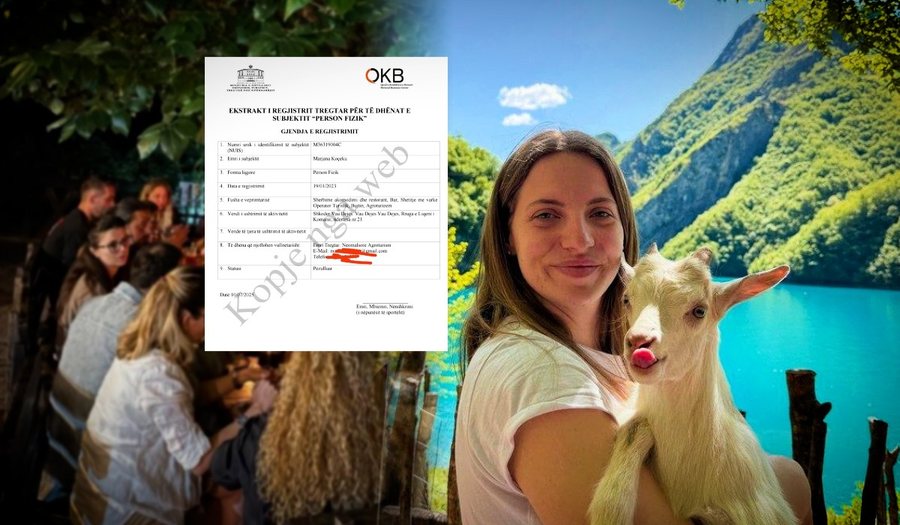 Gazetari publikon dokumentat: “Neomalsorja” po kryen evazion fiskal