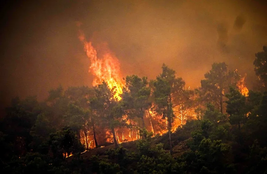 Elbasani nuk gjen qetësi! Pas zjarrit në landfillin e mbetjeve,