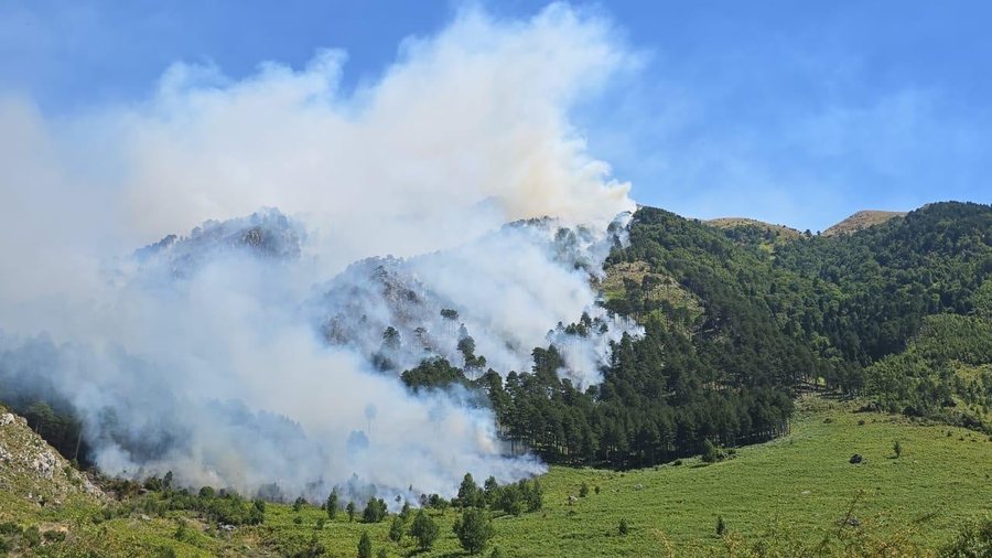 Temperaturat e larta! Alarm në Dukat, zjarri rrezikon edhe Parkun