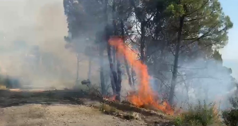 Vendi nuk gjen qetësi nga zjarret, sipërfaqe me kullota
