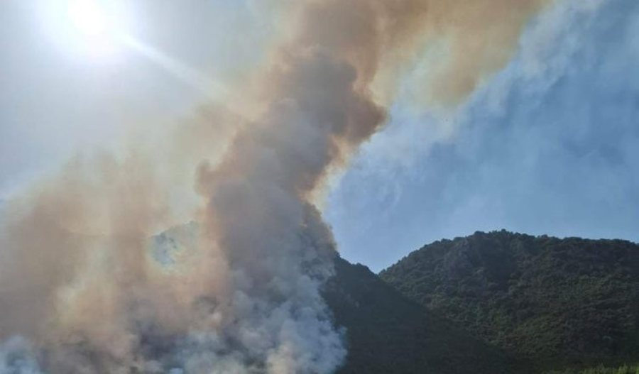 Alarm në parkun e Prespës, flakët kërcënojnë