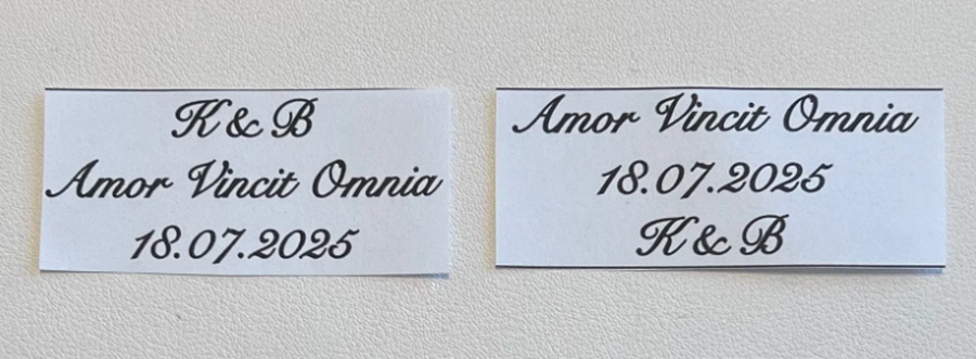 FOTO / Shqiptarja u martua me kampionin e botës, njëri nga fustanet e