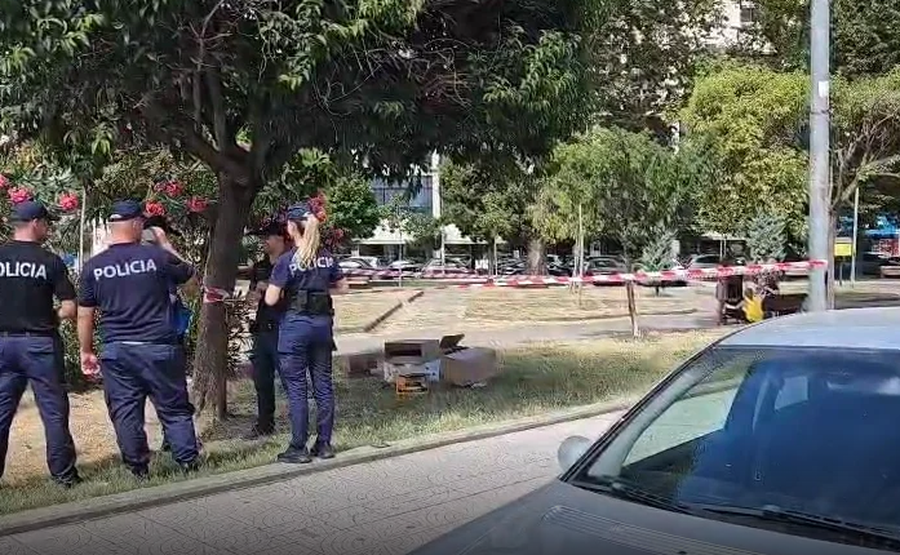 “E shau pas lojës me domino”, zbardhet shkaku i sherrit ku u