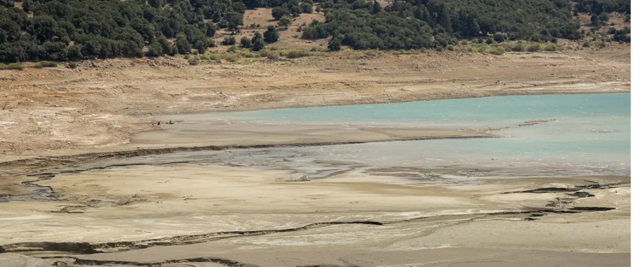 Evropa e prekur këtë verë nga thatësira rekord